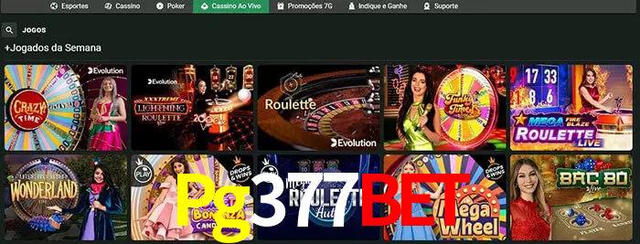 Pg377Bet bet